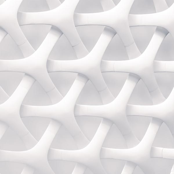 white and gray optical illusion